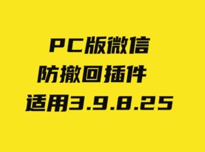 PC微信防撤回插件适用3.9.8.25-大源资源网